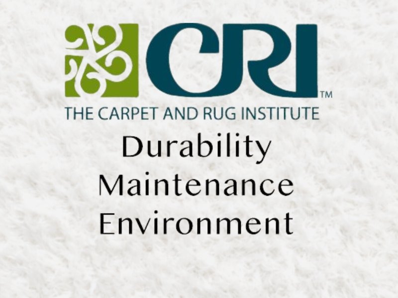 The Carpet And Rug Institute graphic